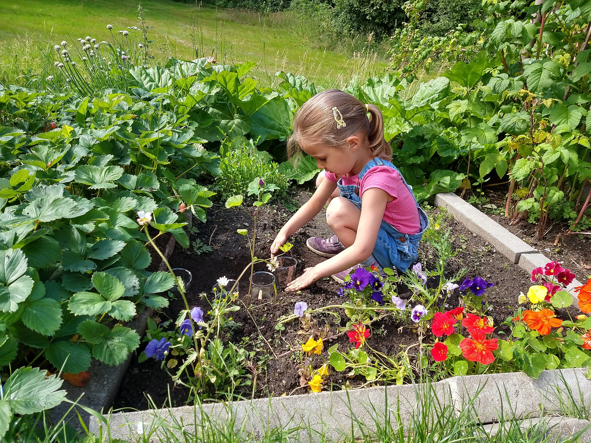 Imagem de referência de jardinagem, descrito nos dados abertos como prática de cultivar plantas