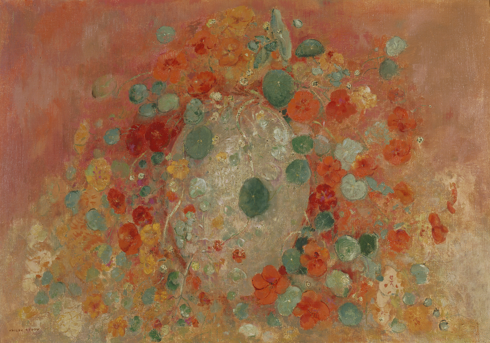 Imagem de referência de Nasturtium, descrito nos dados abertos como género de plantas