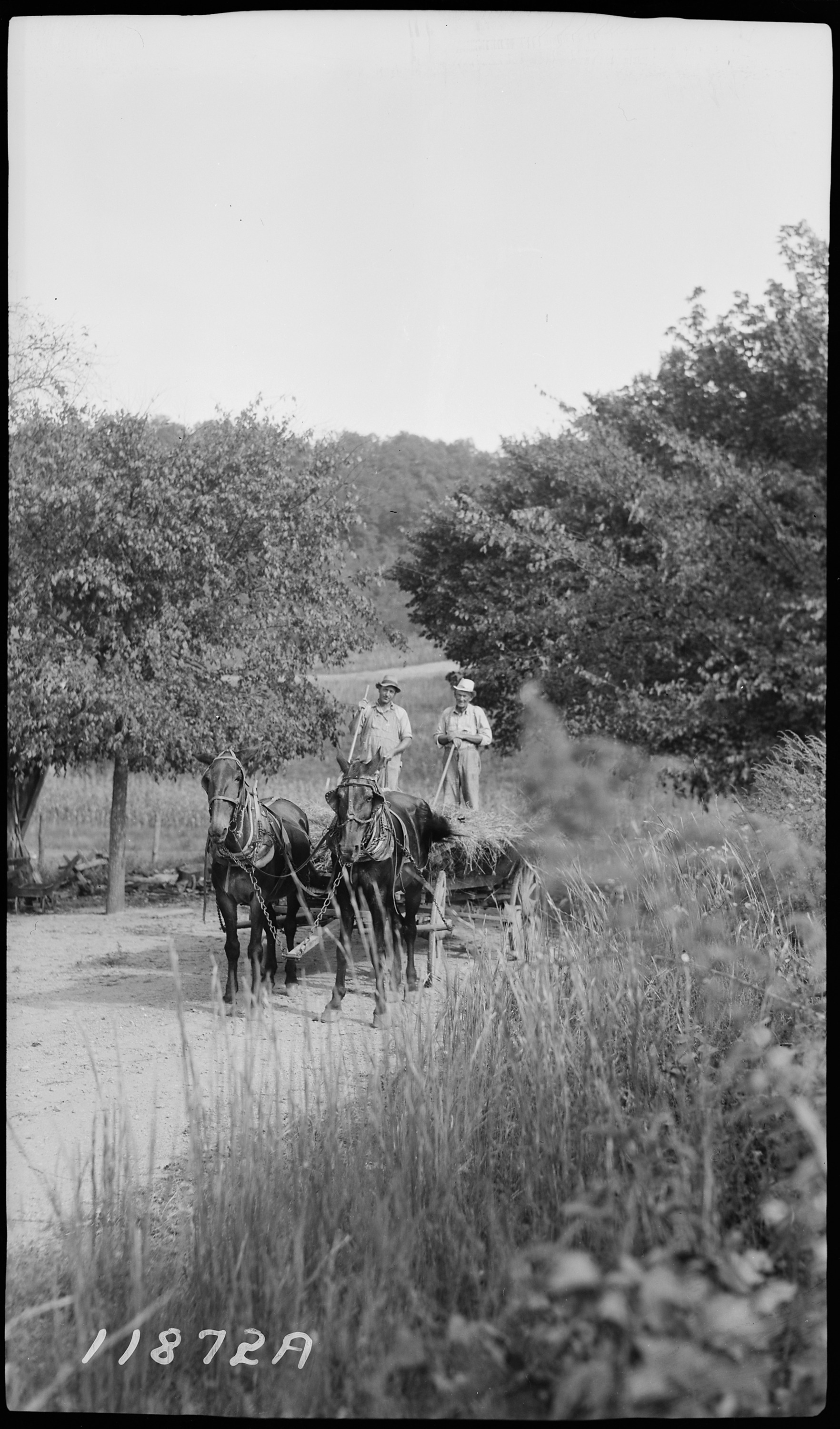 Imagem de referência de The Last Wagon, descrito nos dados abertos como filme de 1956 dirigido por Delmer Daves