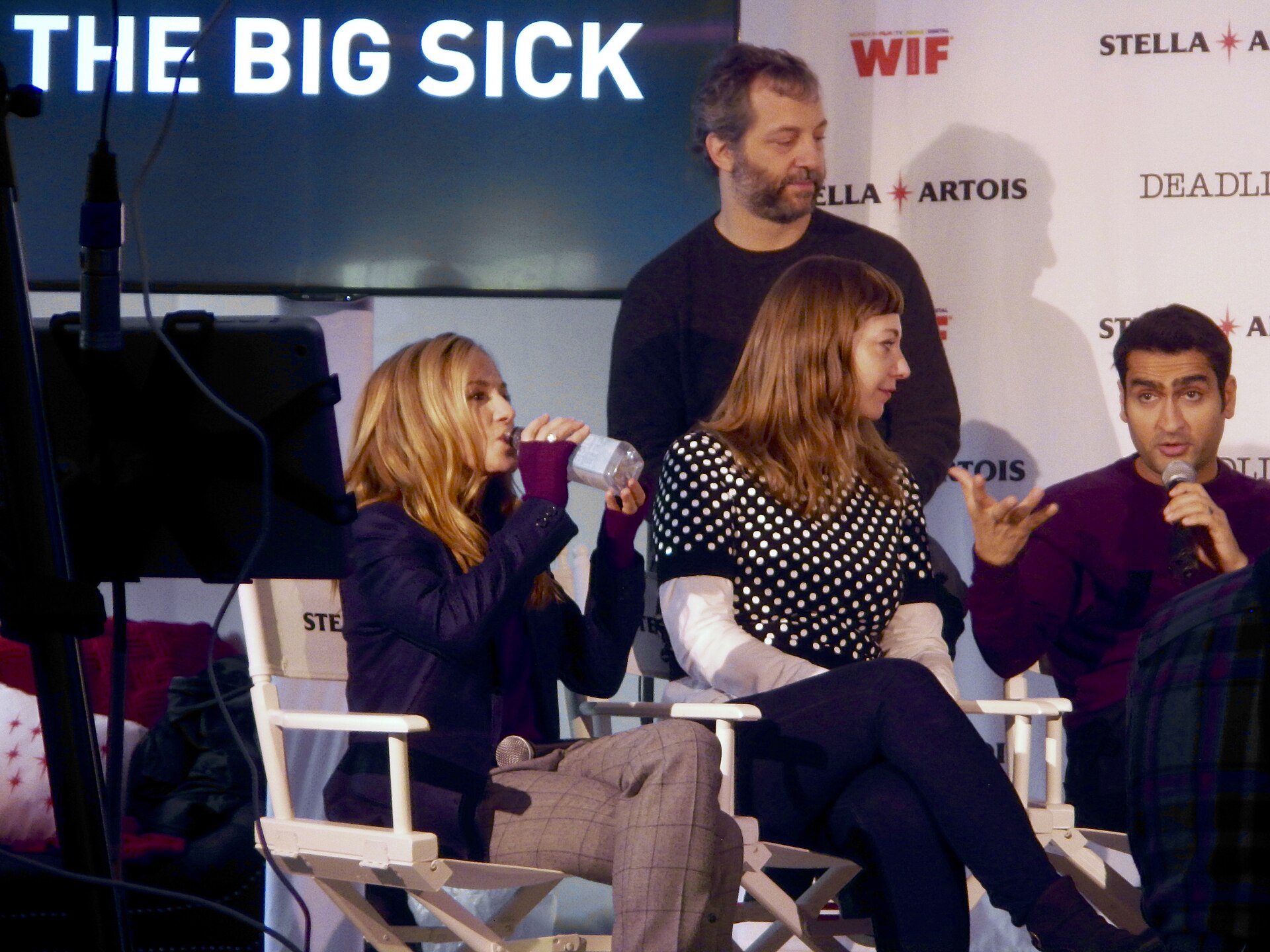 Imagem de referência de The Big Sick, descrito nos dados abertos como filme de 2017 dirigido por Michael Showalter