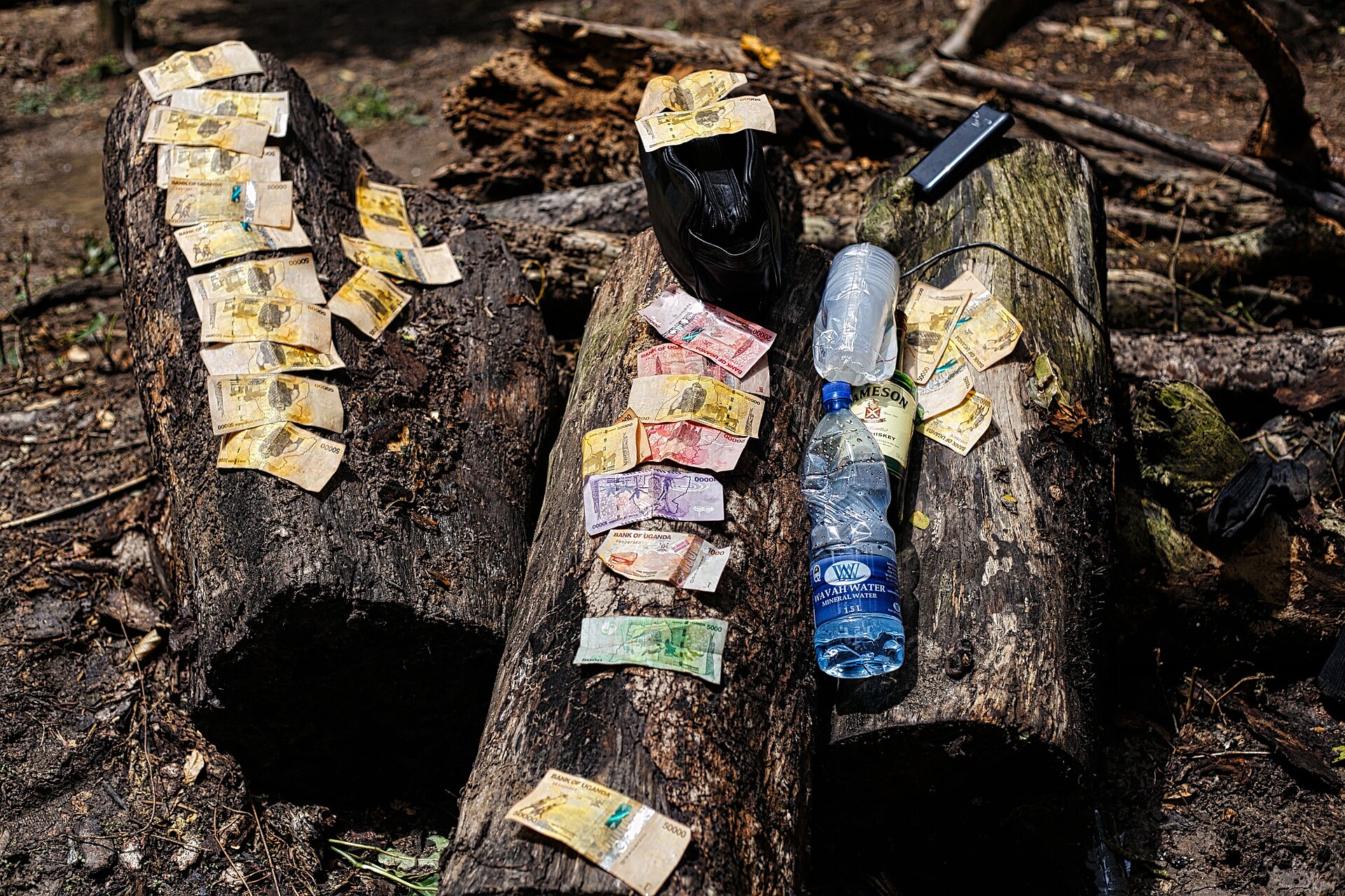 Imagem de referência relacionada a xelim Ugandês, item descrito como registro de referência sobre xelim Ugandês, organizado a partir de dados estruturados abertos