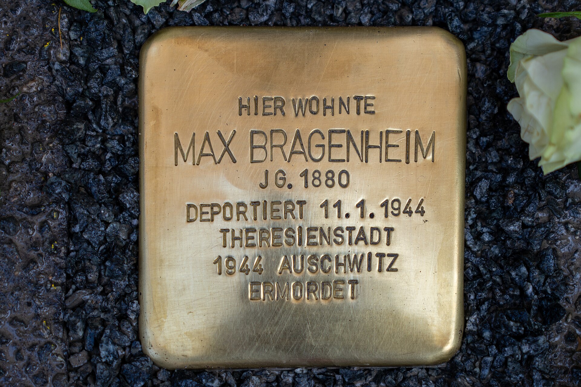 Imagem de referência de Stolperstein em memória de Max Bragenheim, descrito nos dados abertos como stolperstein em Hannover, Alemanha