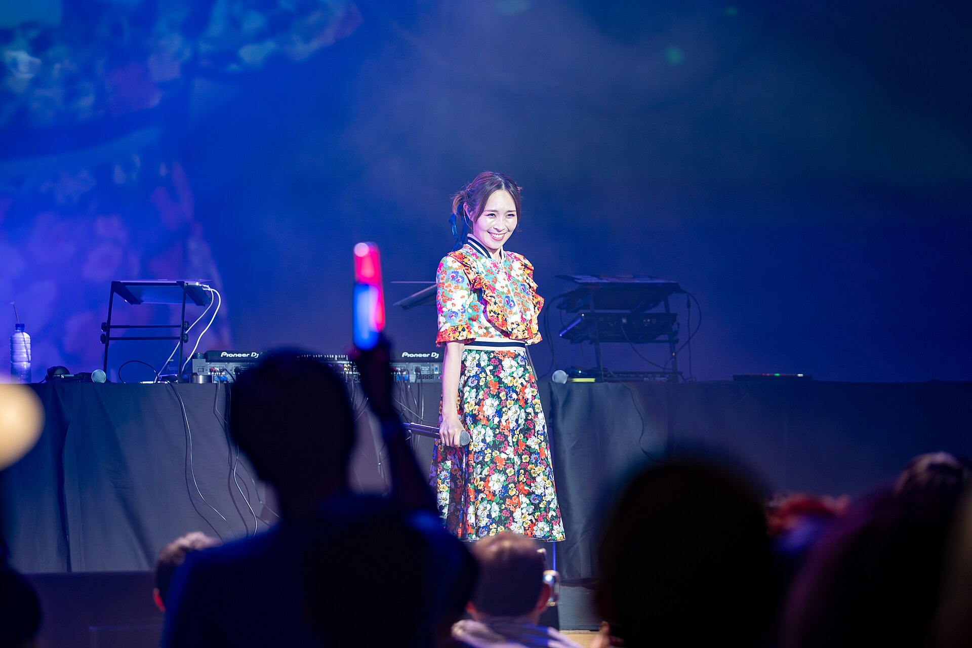 Imagem de referência de Rina Aiuchi, descrito nos dados abertos como cantora japonesa