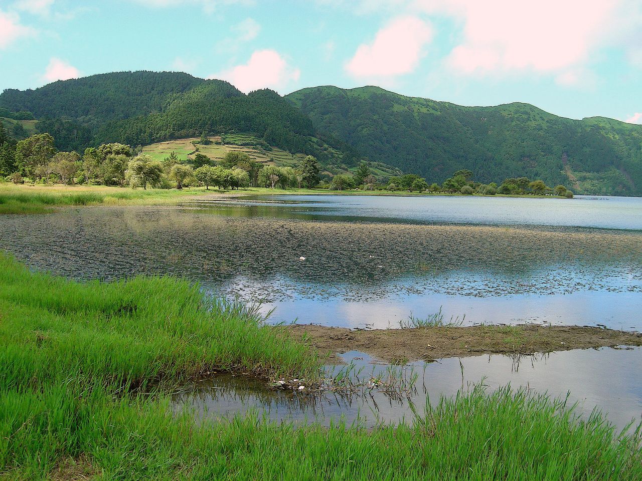 Imagem de referência de A Lagoa Azul, descrito nos dados abertos como filme de 1980 dirigido por Randal Kleiser