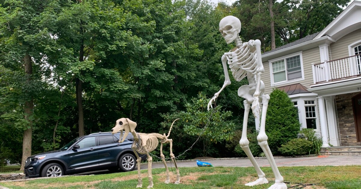 Imagem relacionada à notícia: Halloween na América: Trajes, Doces, Custos para a Noite de Assusto