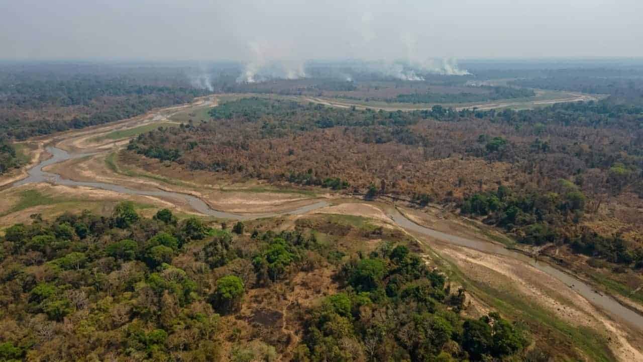 Incêndios na Amazônia reduzem a absorção de carbono pela floresta