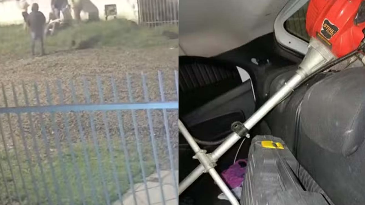 Vídeo: Menina de 14 anos imobiliza ladrão com mata-leão por 15 minutos após ele invadir sua casa