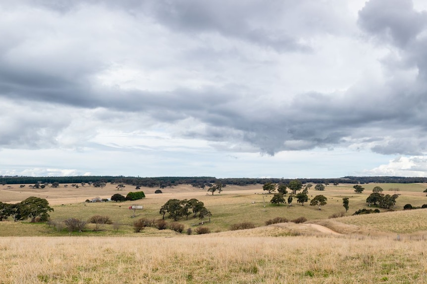 farmland with paddocks and grey clouds.
