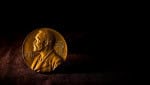 PrĂȘmio Nobel da Medicina: como uma alga ajudou cientistas a criar um âinterruptorâ para o cĂ©rebro
