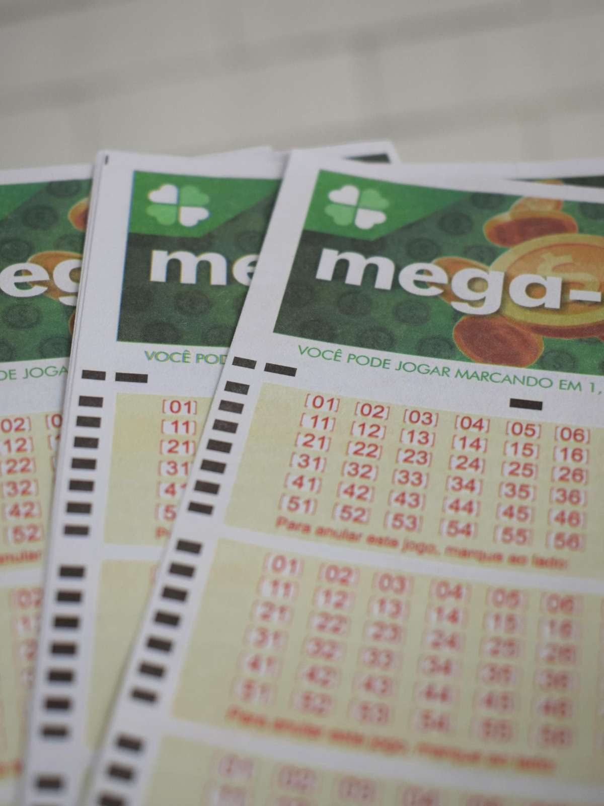 Mega-Sena pode pagar R$ 230 milhões neste sábado; veja horário do sorteio