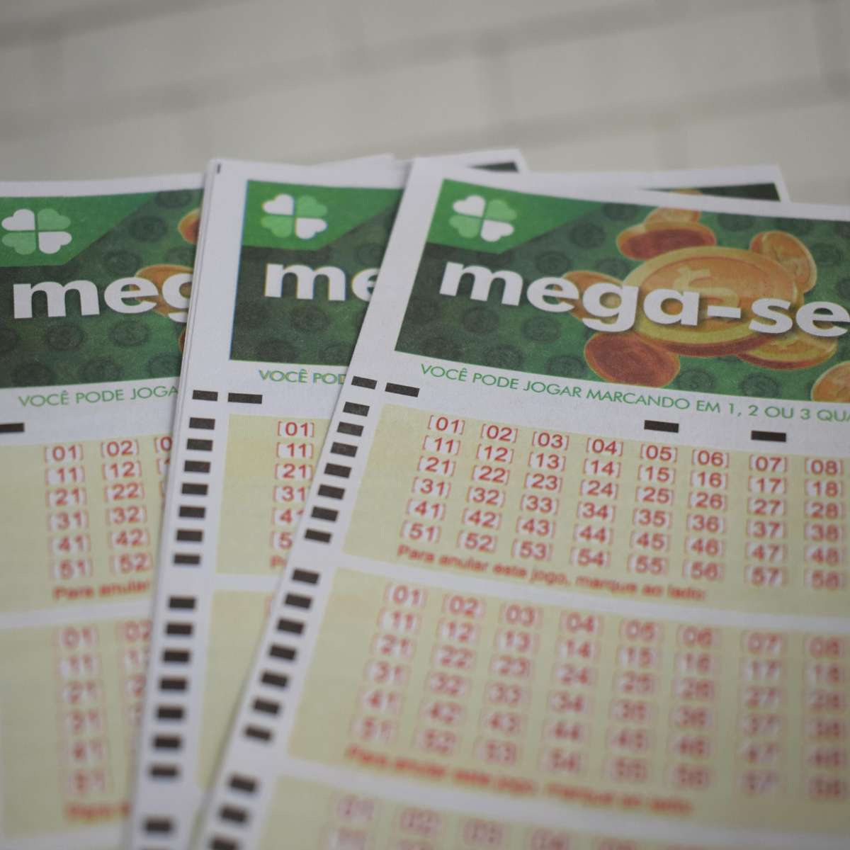 Mega-Sena pode pagar R$ 230 milhões neste sábado; veja horário do sorteio