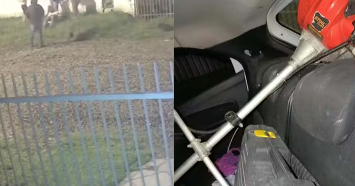 Vídeo: Menina de 14 anos imobiliza ladrão com mata-leão por 15 minutos após ele invadir sua casa