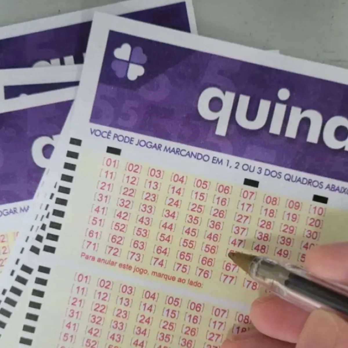 Quina 7146 acumula, e prêmio vai a R$ 52 milhões. Veja resultado