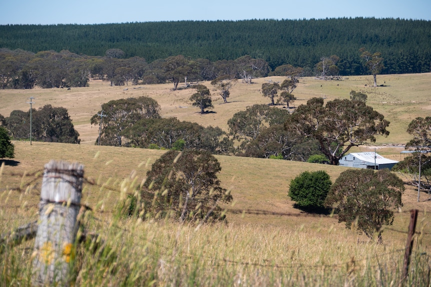 Farmland with paddocks, signs and fences.