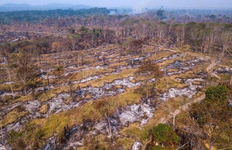 Incêndios na Amazônia reduzem a absorção de carbono pela floresta